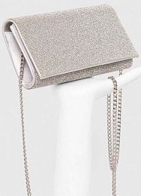 Kopertówka ALDO  srebrna FAHARI.040
