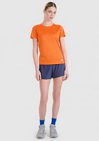 Szorty sportowe szare 4F 4FWSS25TFSHF0881-22S