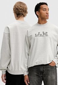 Bluza przez głowę Kaotiko  szara AR053.01.G002