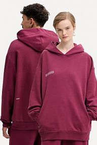 Bluza przez głowę PANGAIA  bordowy 10000180.