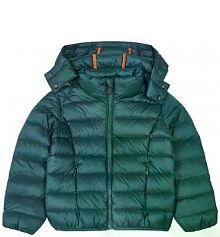  gold zielony Jott damska