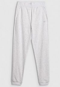 Spodnie dresowe szare 4F damskie 4FRMM00TTROF1843-27M
