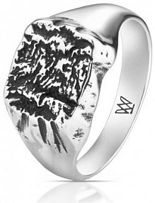 Pierścionek W.KRUK srebrny brązowy FREEDOM ELEMENTS