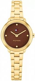 Zegarek TOMMY HILFIGER brązowy żółty złoty damski W.KRUK   DEMI